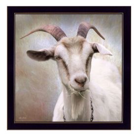 "Up Close Goat" By Lori Deiter, Printed Wall Art, Ready To Hang Framed Poster, Black Frame