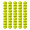 PICKLEBALL PREMIER POWER BALL